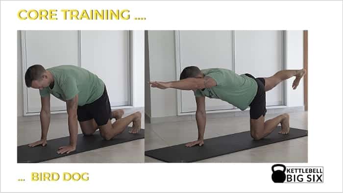 Bird Dog fürs Core Training